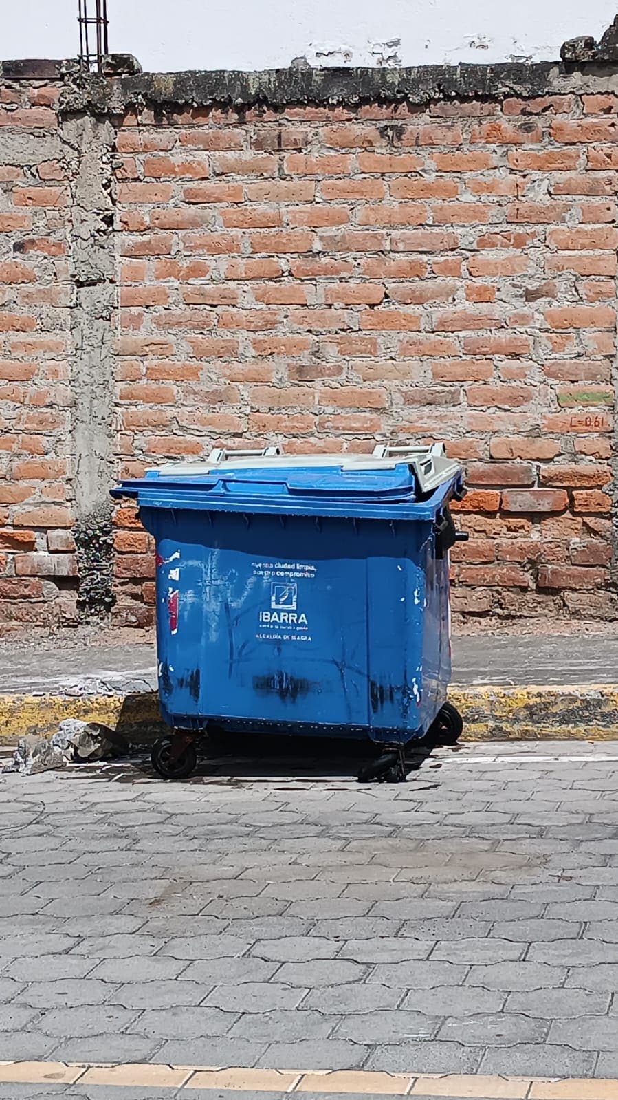 Aseo de áreas urbanas, trabajo realizado por Eco Solutions
